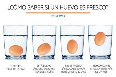 Infografía sobre cómo comprobar la frescura de un huevo