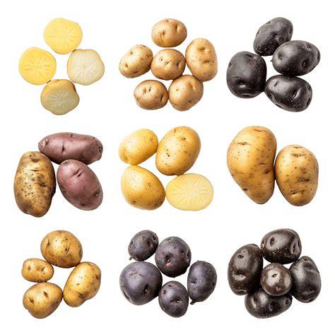Ilustración de las diferentes variedades de boniatos por color