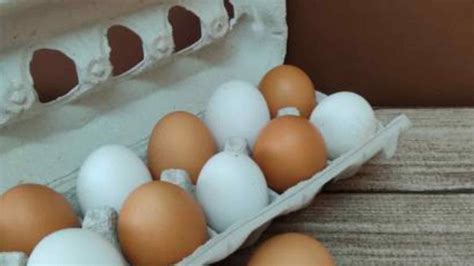 Infografía comparando huevos blancos y marrones
