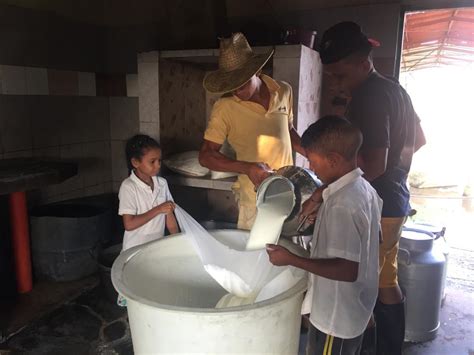 Proceso de licuado y colado de la Leche de Tigre para obtener su consistencia final