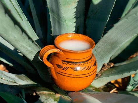 Cristalería tradicional para el pulque en un museo mexicano