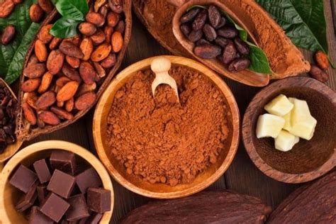 Granos de cacao y sus derivados