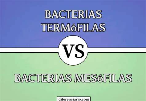 Diferencias entre bacterias termófilas y mesófilas