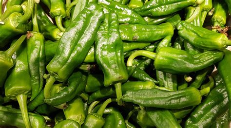 Variedad de berenjenas y pimientos