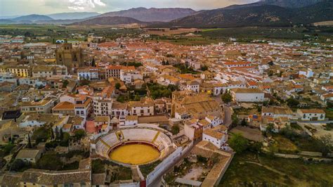 Campo de cultivo de judías blancas en Huéscar, Granada