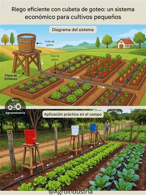 diagrama de riego eficiente para huertos de calabazas