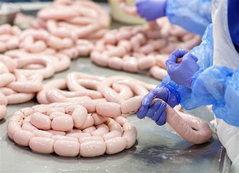 Proceso de limpieza de tripas de cerdo con agua