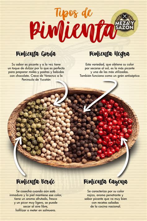 Diferentes tipos de granos de pimienta: negra, blanca, verde y rosa