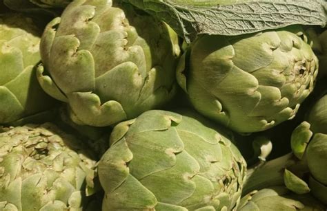 Alcachofas frescas y su valor nutricional