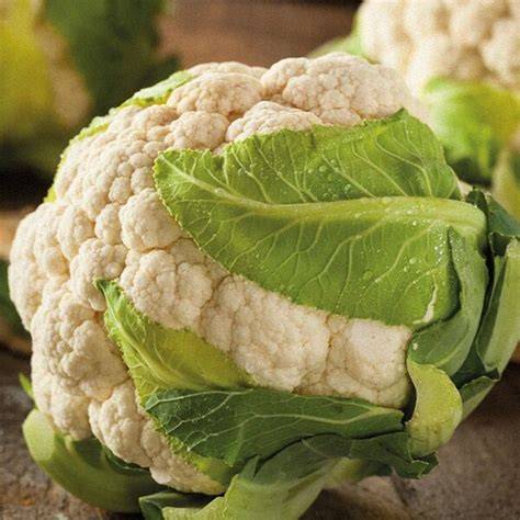 Coliflor fresca y compacta antes de lavar