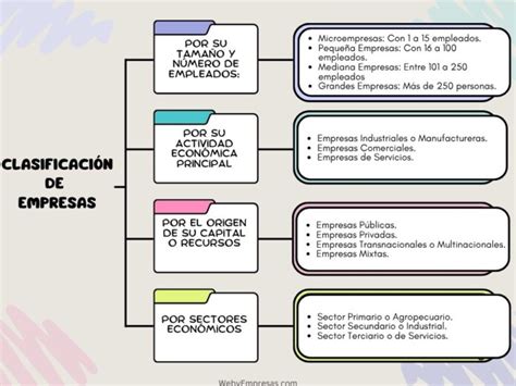 Esquema de las clasificaciones del cordero por edad