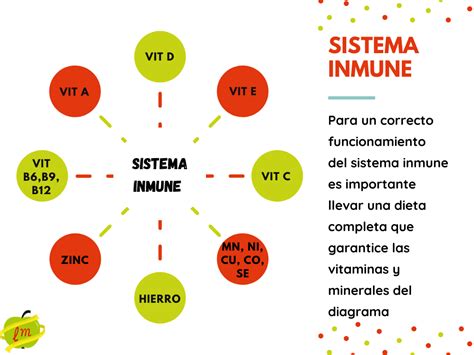 Sistema inmune y vitaminas