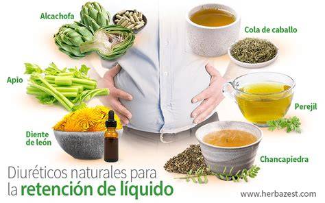 Fluidos corporales y diuréticos naturales