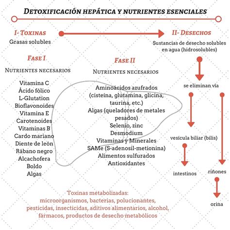 Detoxificación hepática