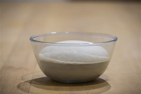 Masa de pan de perrito después del primer levado