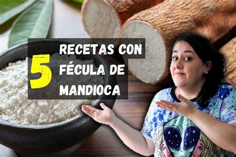 Fécula de mandioca en polvo