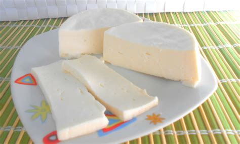 queso fresco casero recién hecho