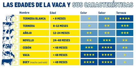 Esquema de las clasificaciones del ganado ovino según edad y sexo