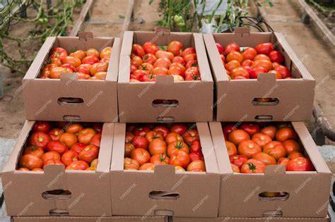 Caja de tomates de colgar