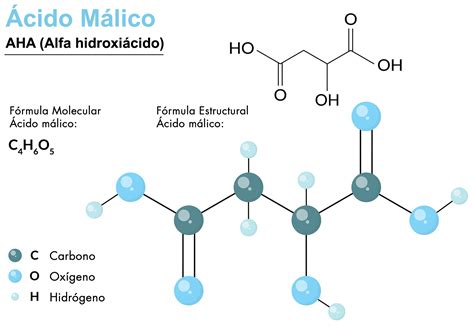 diferencias químicas entre ácido málico y láctico
