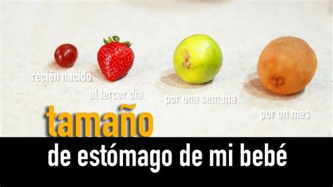Esquema de crecimiento del estómago del bebé