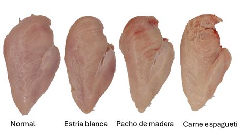 fotografía comparativa de carne normal y con miopatía pectoral profunda