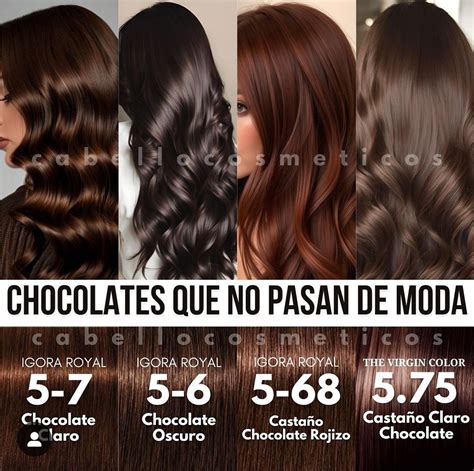 paleta de tonos de cabello chocolate