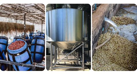 Proceso de fermentación en tanques sellados para café