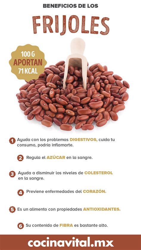 infografía de nutrientes de los frijoles