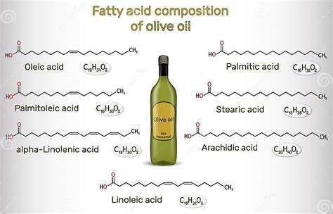 Infografía sobre los ácidos grasos del aceite de oliva