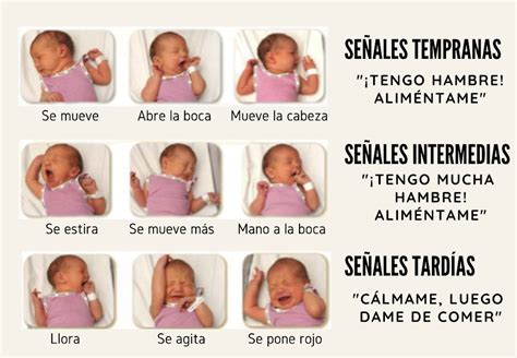 Señales de hambre y saciedad en el bebé
