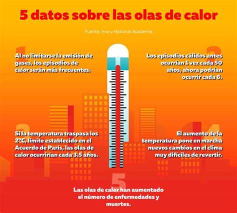 Esquema de zonas de calor en la parrilla