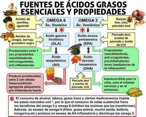 Infografía sobre los ácidos grasos esenciales en mascotas