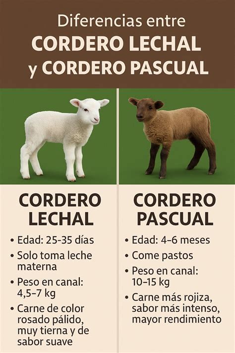 comparativa visual entre cordero lechal y recental