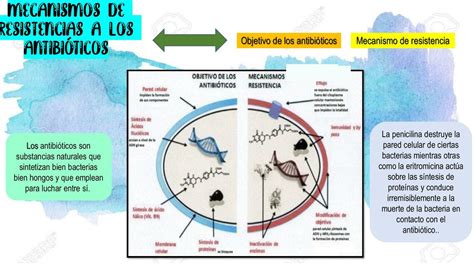 Gráfico sobre la resistencia a los antibióticos
