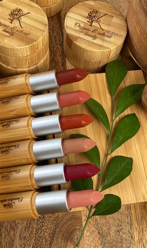 Infografía sobre los ingredientes naturales clave en labiales ecológicos