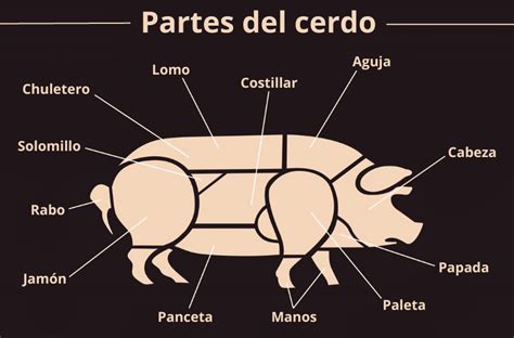 Esquema de las principales partes de un cerdo
