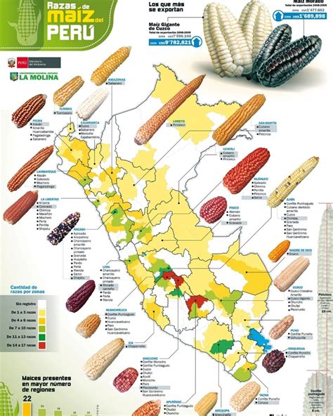 Mapa de variedades de tortitas por el mundo