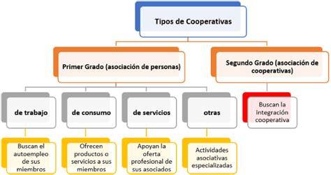 Esquema de cómo funciona una cooperativa agrícola