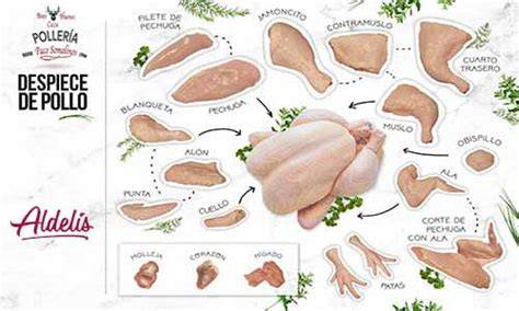 Esquema de las partes del pollo para limpieza