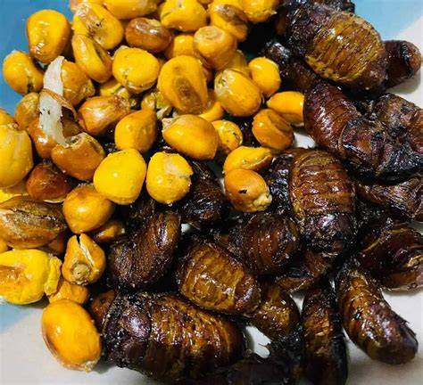Plato típico ecuatoriano de catzos con tostado servido en un mercado