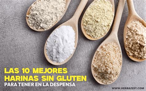 Tabla comparativa de harinas sin gluten para pasta
