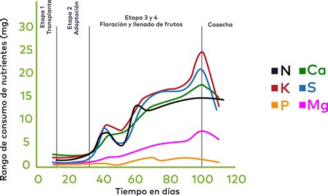 gráfica de distribución de nutrientes en chocolate