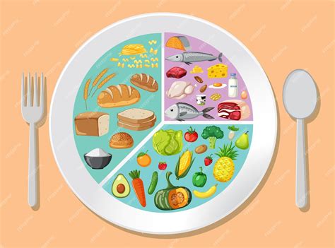 Ilustración de un plato equilibrado y saludable