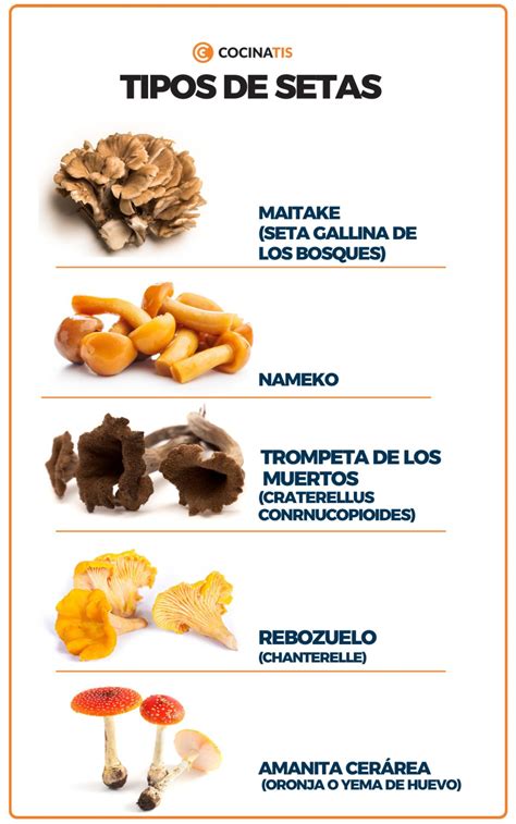 tabla comparativa de tipos de setas comestibles para cremas