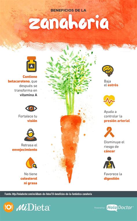 Infografía sobre los nutrientes y beneficios clave de la zanahoria