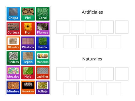 Tabla comparativa visual de las texturas de las cocochas