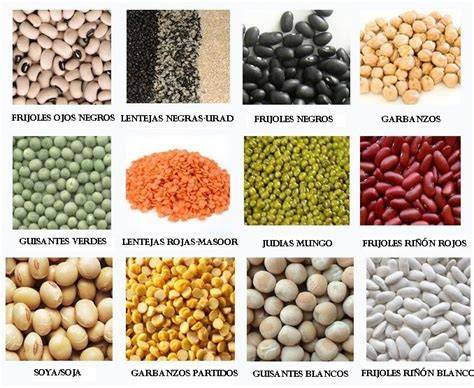 Tipos de legumbres y sus propiedades