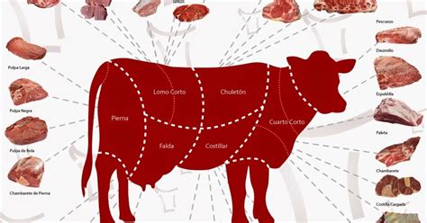 Diagrama de cortes de carne de res