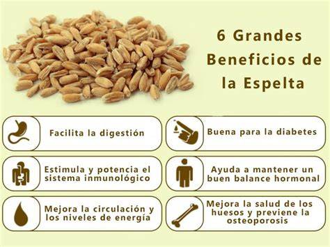 Infografía de los beneficios de la espelta